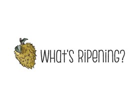 What's Ripening? entry by quimcey