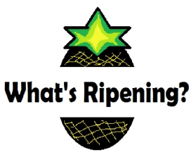 What's Ripening? entry by palmtreeluke
