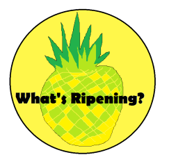What's Ripening? entry by palmtreeluke