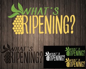 What's Ripening? entry by Licunatt