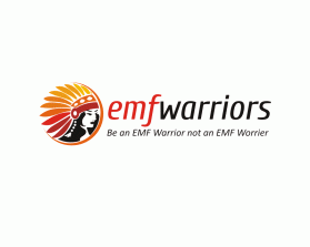 EMF Warriors entry by pingpong