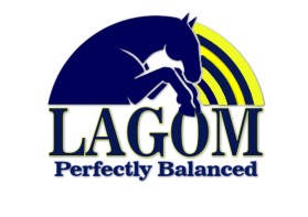 Lagom entry by CreativeCanadian