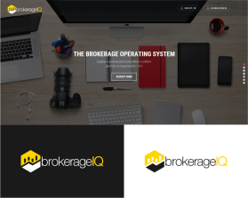 brokerageIQ entry by trisuhani