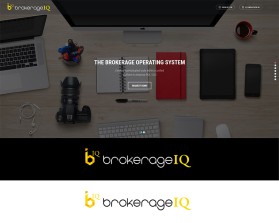 brokerageIQ entry by Ryuki