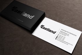 Eastland Partners Inc.  entry by indeyzn