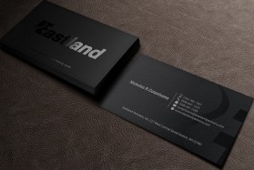 Eastland Partners Inc.  entry by indeyzn