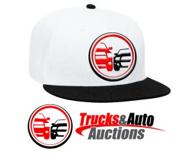 Trucks and Auto Auctions entry by bornquiest