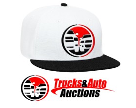 Trucks and Auto Auctions entry by bornquiest