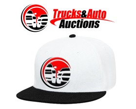 Trucks and Auto Auctions entry by bornquiest