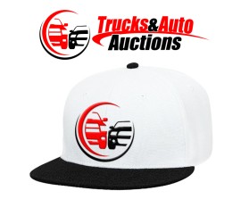 Trucks and Auto Auctions entry by bornquiest