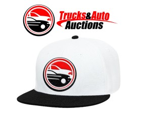 Trucks and Auto Auctions entry by bornquiest
