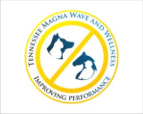 Tennessee Magna Wave and Wellness entry by wongsanus