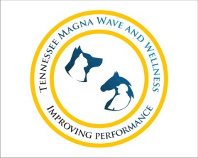 Tennessee Magna Wave and Wellness entry by wongsanus