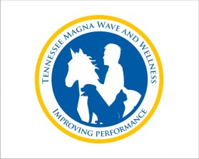 Tennessee Magna Wave and Wellness entry by wongsanus
