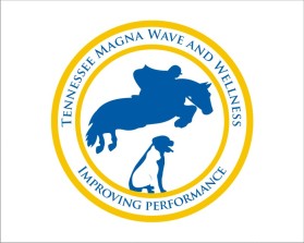 Tennessee Magna Wave and Wellness entry by wongsanus