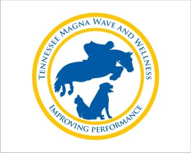 Tennessee Magna Wave and Wellness entry by wongsanus