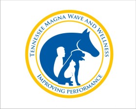 Tennessee Magna Wave and Wellness entry by wongsanus