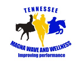 Tennessee Magna Wave and Wellness entry by wongsanus