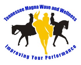 Tennessee Magna Wave and Wellness entry by wongsanus