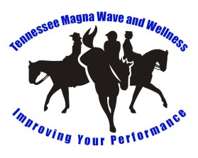 Tennessee Magna Wave and Wellness entry by wongsanus