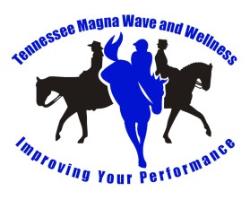Tennessee Magna Wave and Wellness entry by wongsanus