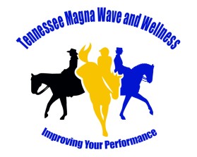 Tennessee Magna Wave and Wellness entry by wongsanus