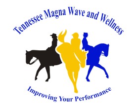 Tennessee Magna Wave and Wellness entry by wongsanus