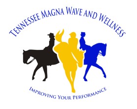 Tennessee Magna Wave and Wellness entry by wongsanus
