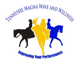 Tennessee Magna Wave and Wellness entry by wongsanus
