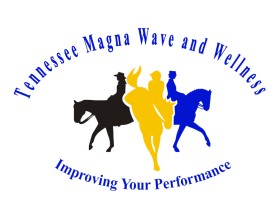 Winning entry: Tennessee Magna Wave and Wellness entry by wongsanus