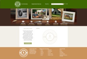 Emanuel County entry by tzandarik