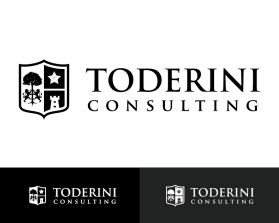 Toderini consulting entry by Artezza