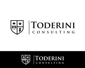 Toderini consulting entry by Artezza