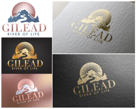 Gilead Healing Center entry by alex.projector