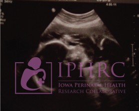 Iowa Perinatal Health Research Collaborative (IPHRC) entry by mv