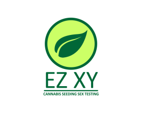 EZ-XY entry by rendra widiana