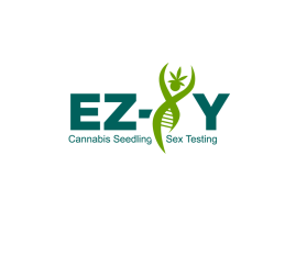 EZ-XY entry by Edy Santoso