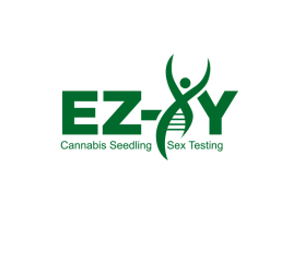 EZ-XY entry by Edy Santoso