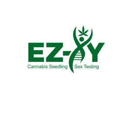 EZ-XY entry by Edy Santoso