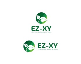 EZ-XY entry by Mariyana