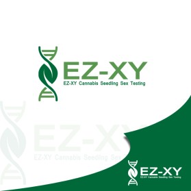 EZ-XY entry by Yoga Rizki Saputra