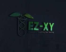 EZ-XY entry by John Paul B. Pavillon
