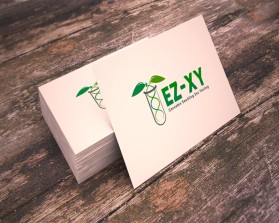 EZ-XY entry by John Paul B. Pavillon