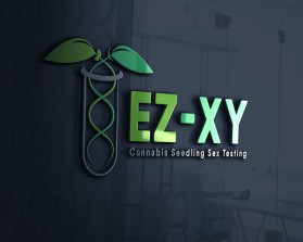 EZ-XY entry by John Paul B. Pavillon
