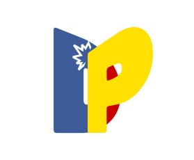 DP entry by Designature