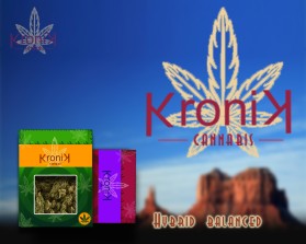 Kronik Cannabis entry by Alessandro Culeddu