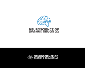 Neuroscience of Emotion and Thought Lab entry by Holis majid