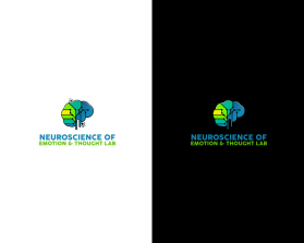 Neuroscience of Emotion and Thought Lab entry by Holis majid