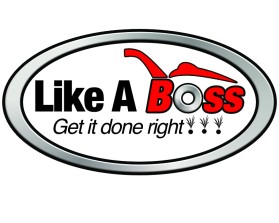 Like A Boss entry by dcash10181@aol.com
