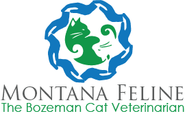 Montana Feline  entry by Junar